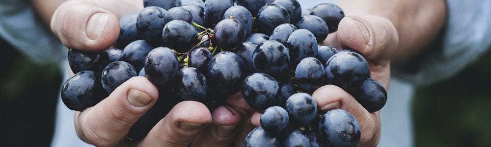 Wine Economics 101 - Why You Want To Pay More