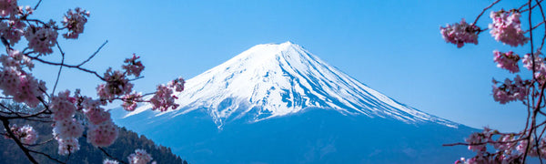The Global Rise Of Japanese Whisky