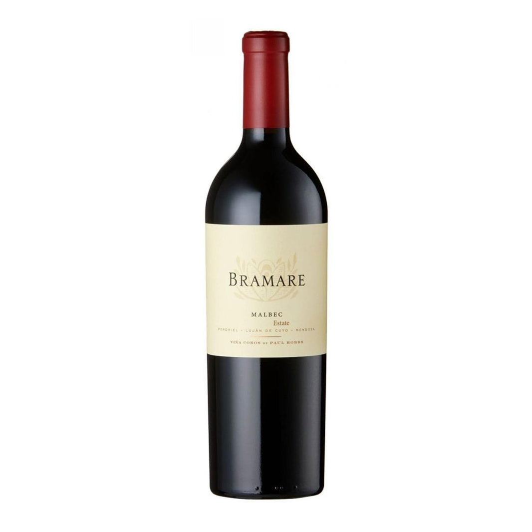 Vina Cobos Bramare Chanares Estate Malbec 2017 75cl