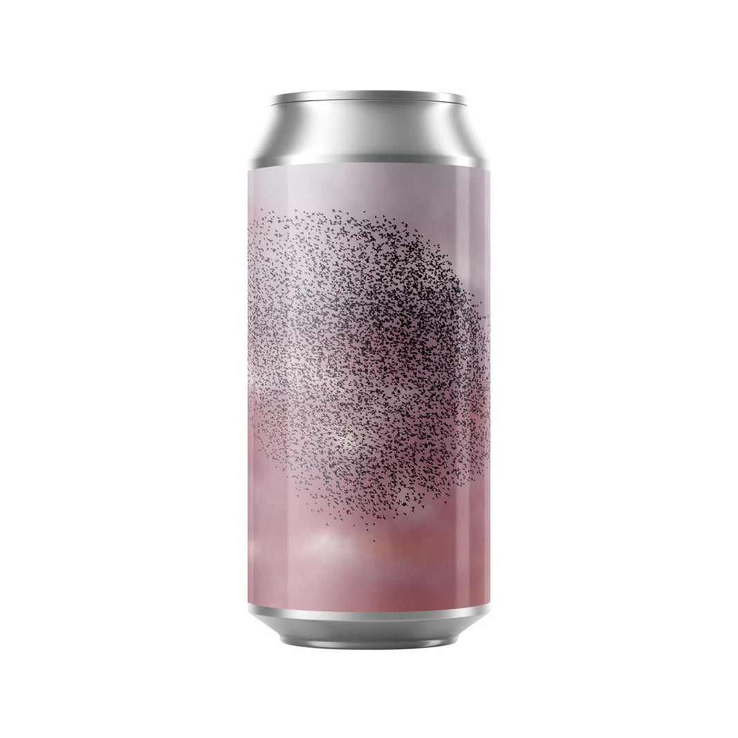 Verdant Seldom Often Imperial Stout 440ml